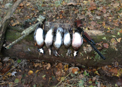 Professional Guided Wood Duck Hunts - Harrisburg, Lancaster, York, Carlisle, Lebanon, Pennsylvania