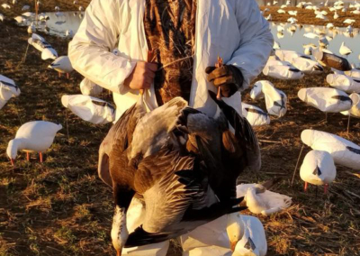 Professional Guided Snow Geese Hunts - Harrisburg, Lancaster, York, Lebanon, Carlisle, Pennsylvania